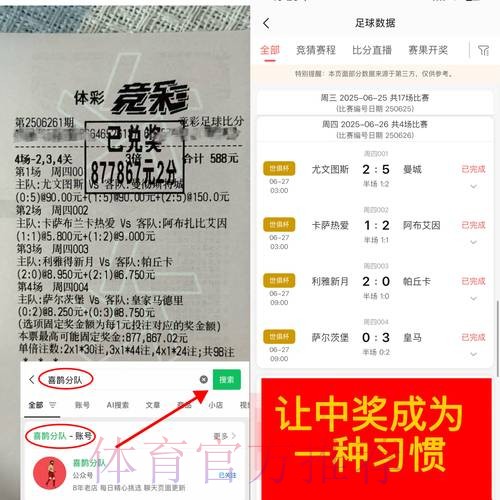 深入解析世界杯买球实时官方平台的运作机制